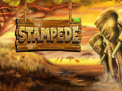 Stampede Slot Featured Image Stampede Slot Featured Image